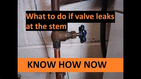 shut off valve leaking at stem|How to Fix a Leaking Shutoff Valve